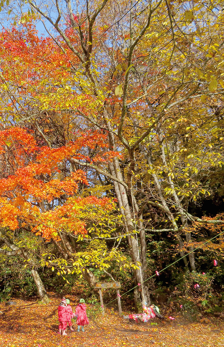 森のようちえん 広島幼稚園
